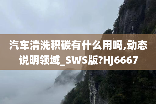 汽车清洗积碳有什么用吗,动态说明领域_SWS版?HJ6667