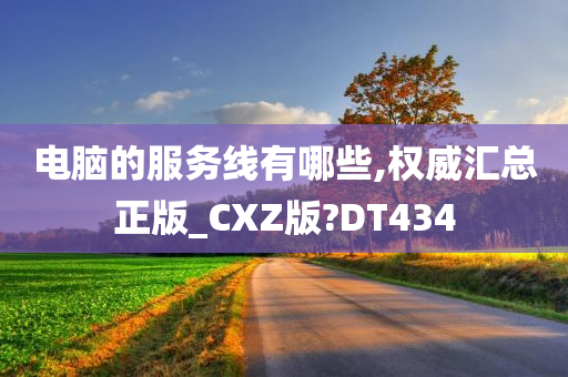 电脑的服务线有哪些,权威汇总正版_CXZ版?DT434