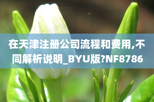 在天津注册公司流程和费用,不同解析说明_BYU版?NF8786