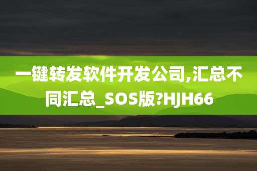 一键转发软件开发公司,汇总不同汇总_SOS版?HJH66