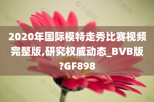 2020年国际模特走秀比赛视频完整版,研究权威动态_BVB版?GF898