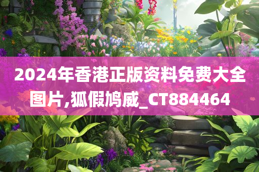 2024年香港正版资料免费大全图片,狐假鸠威_CT884464