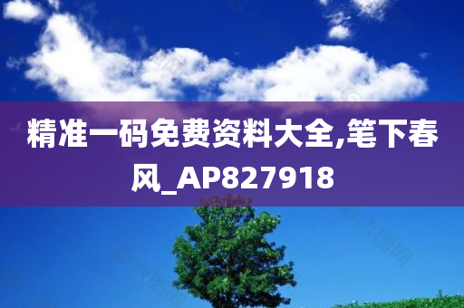 精准一码免费资料大全,笔下春风_AP827918