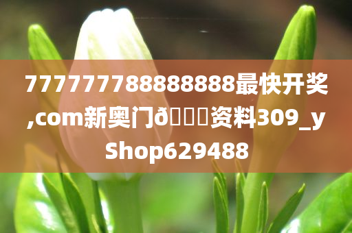 777777788888888最快开奖,com新奥门🐎资料309_yShop629488