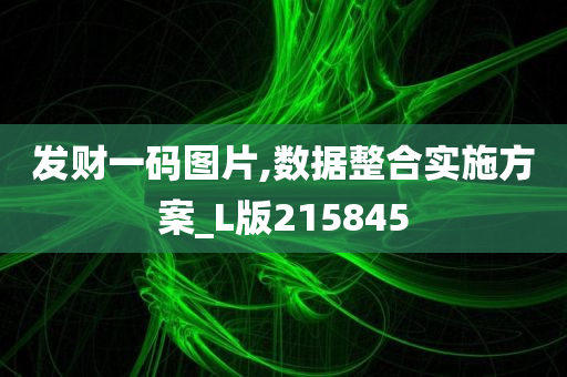 发财一码图片,数据整合实施方案_L版215845