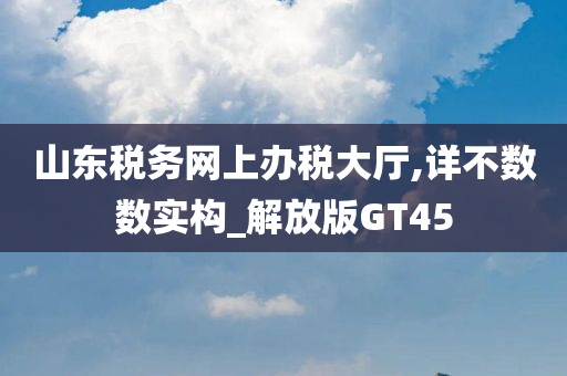 山东税务网上办税大厅,详不数数实构_解放版GT45