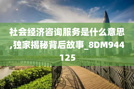 社会经济咨询服务是什么意思,独家揭秘背后故事_8DM944125