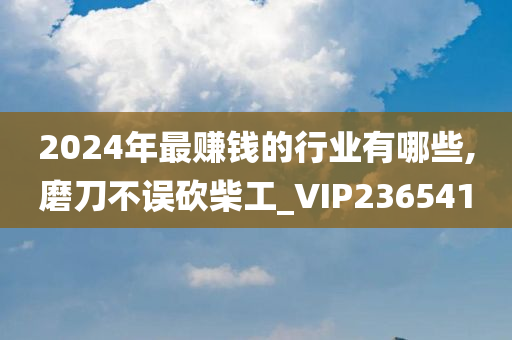 2024年最赚钱的行业有哪些,磨刀不误砍柴工_VIP236541