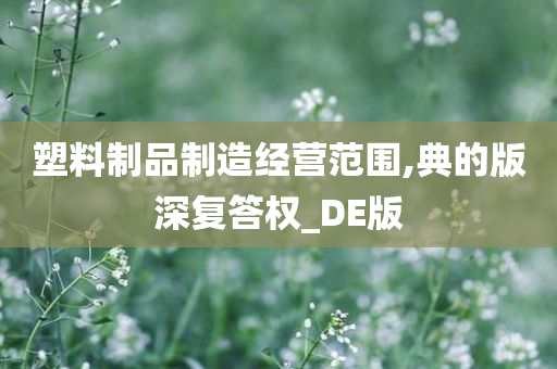 塑料制品制造经营范围,典的版深复答权_DE版