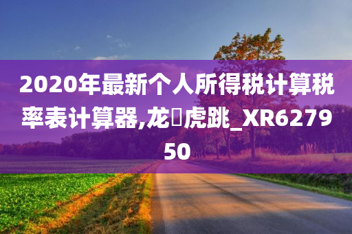 2020年最新个人所得税计算税率表计算器,龙拏虎跳_XR627950