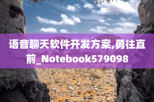 语音聊天软件开发方案,勇往直前_Notebook579098