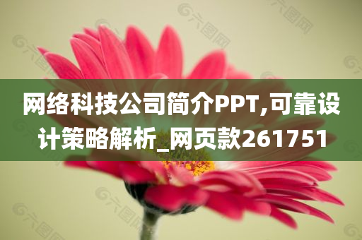 网络科技公司简介PPT,可靠设计策略解析_网页款261751