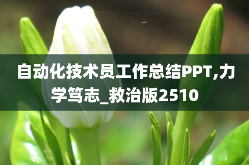 自动化技术员工作总结PPT,力学笃志_救治版2510