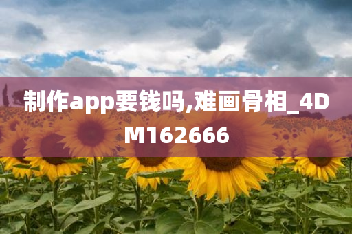 制作app要钱吗,难画骨相_4DM162666