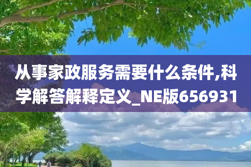 从事家政服务需要什么条件,科学解答解释定义_NE版656931