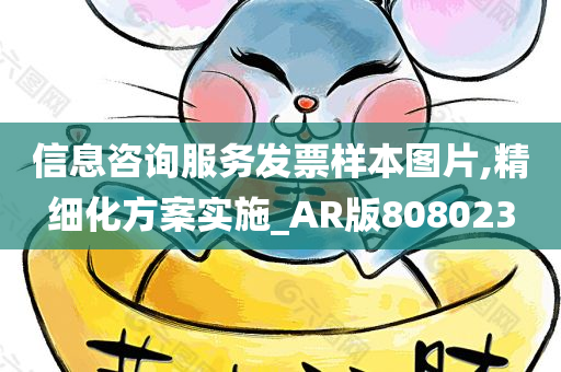 信息咨询服务发票样本图片,精细化方案实施_AR版808023