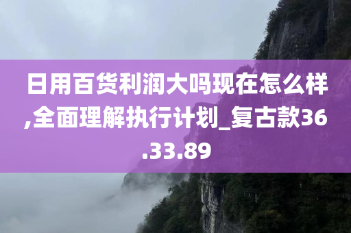 日用百货利润大吗现在怎么样,全面理解执行计划_复古款36.33.89