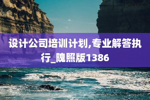 设计公司培训计划,专业解答执行_隗照版1386