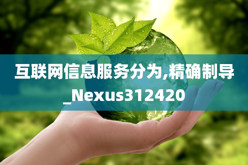 互联网信息服务分为,精确制导_Nexus312420