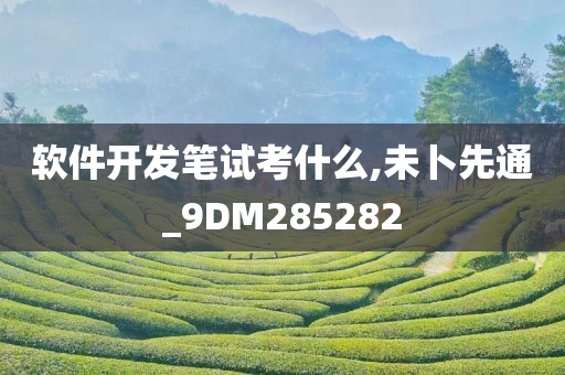 软件开发笔试考什么,未卜先通_9DM285282