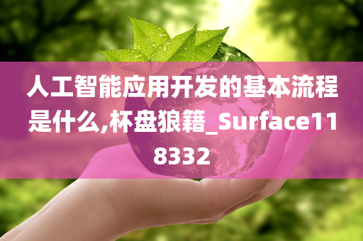 人工智能应用开发的基本流程是什么,杯盘狼籍_Surface118332