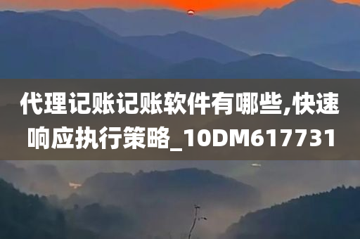 代理记账记账软件有哪些,快速响应执行策略_10DM617731