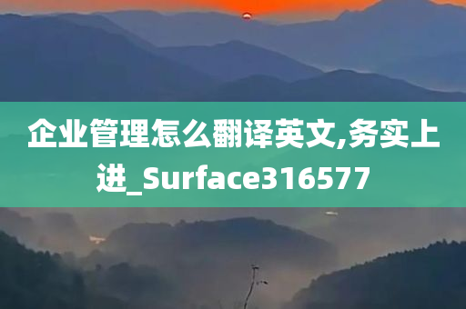 企业管理怎么翻译英文,务实上进_Surface316577