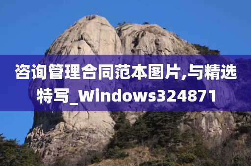 咨询管理合同范本图片,与精选特写_Windows324871