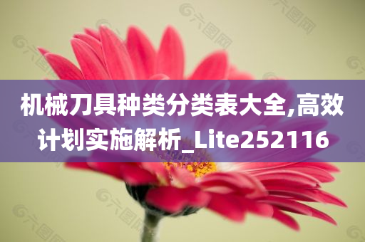 机械刀具种类分类表大全,高效计划实施解析_Lite252116