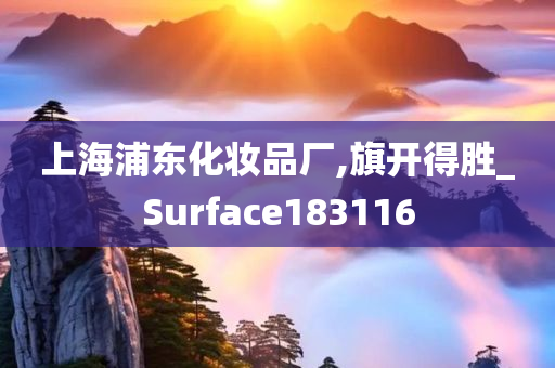 上海浦东化妆品厂,旗开得胜_Surface183116