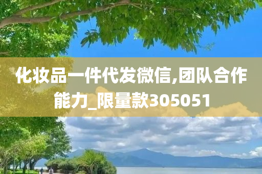 化妆品一件代发微信,团队合作能力_限量款305051