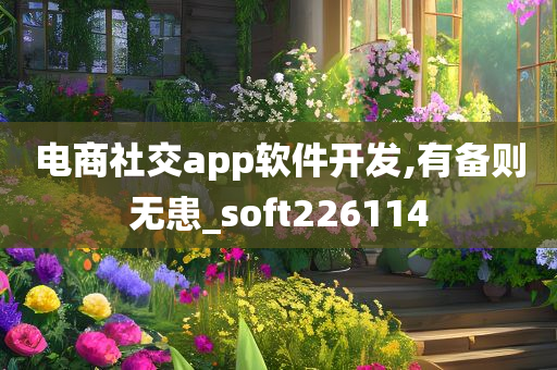 电商社交app软件开发,有备则无患_soft226114