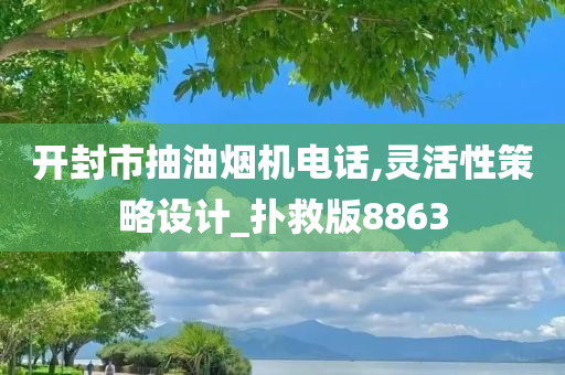 开封市抽油烟机电话,灵活性策略设计_扑救版8863