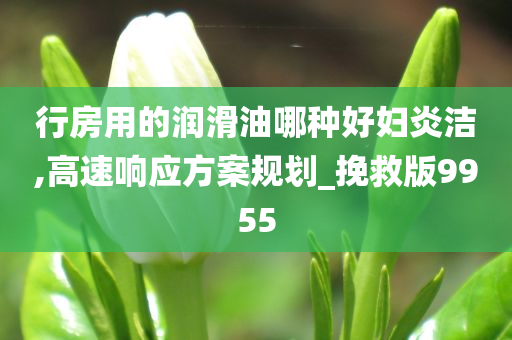 行房用的润滑油哪种好妇炎洁,高速响应方案规划_挽救版9955