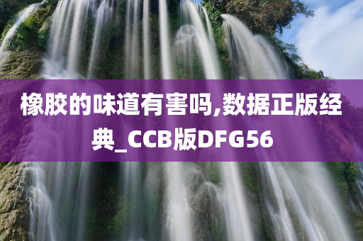 橡胶的味道有害吗,数据正版经典_CCB版DFG56