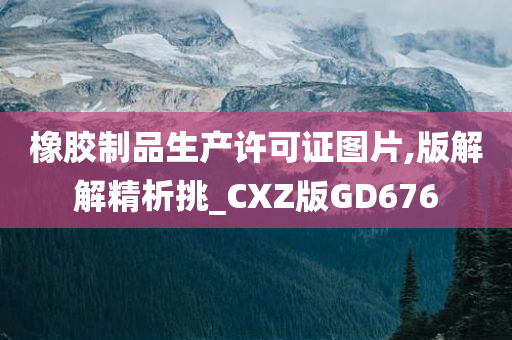 橡胶制品生产许可证图片,版解解精析挑_CXZ版GD676