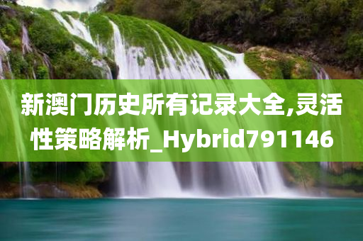 新澳门历史所有记录大全,灵活性策略解析_Hybrid791146