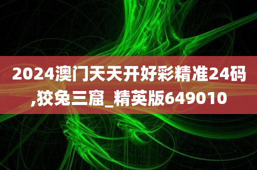 2024澳门天天开好彩精准24码,狡兔三窟_精英版649010