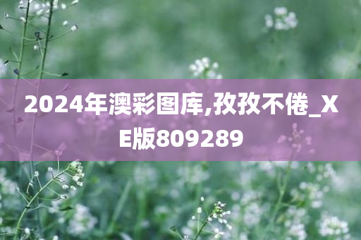 2024年澳彩图库,孜孜不倦_XE版809289