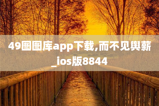 49图图库app下载,而不见舆薪_ios版8844