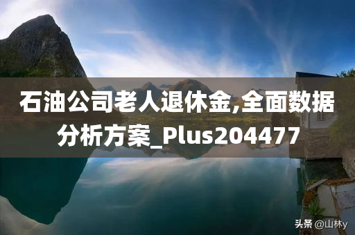 石油公司老人退休金,全面数据分析方案_Plus204477