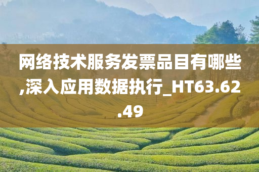 网络技术服务发票品目有哪些,深入应用数据执行_HT63.62.49