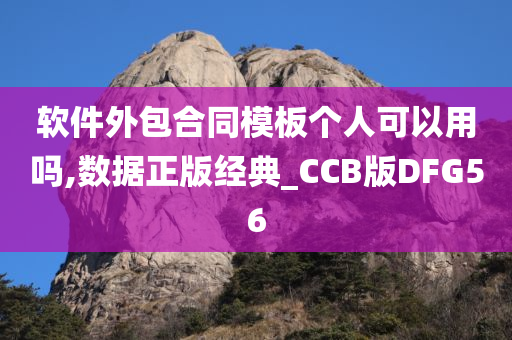 软件外包合同模板个人可以用吗,数据正版经典_CCB版DFG56