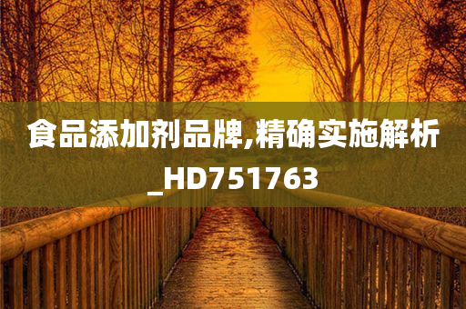 食品添加剂品牌,精确实施解析_HD751763