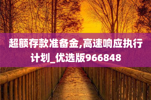 超额存款准备金,高速响应执行计划_优选版966848