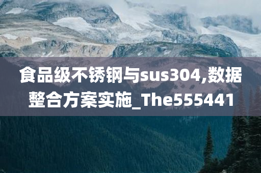 食品级不锈钢与sus304,数据整合方案实施_The555441