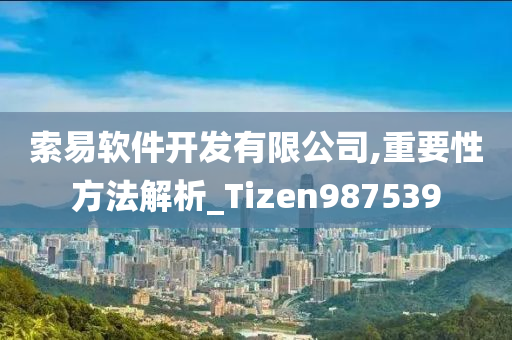 索易软件开发有限公司,重要性方法解析_Tizen987539