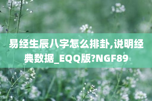 易经生辰八字怎么排卦,说明经典数据_EQQ版?NGF89