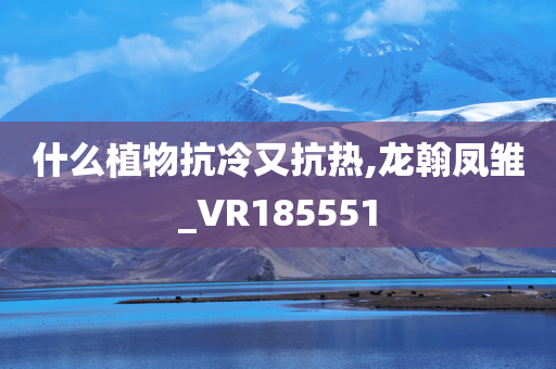 什么植物抗冷又抗热,龙翰凤雏_VR185551