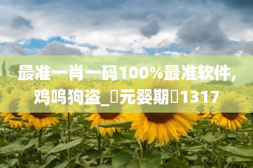 最准一肖一码100%最准软件,鸡鸣狗盗_‌元婴期‌1317